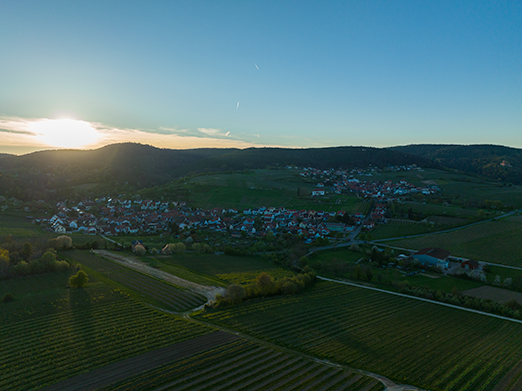 Die Südpfalz - eine traumhafte Region