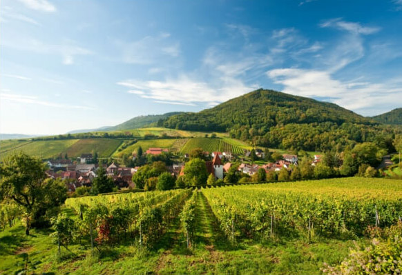 Die Südpfalz - eine traumhafte Region