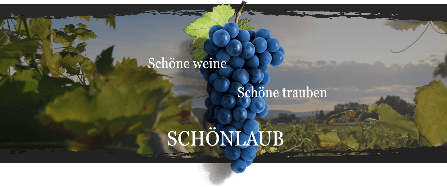 Schöne weine Schöne trauben Schönlaub